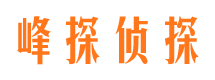 武城市场调查